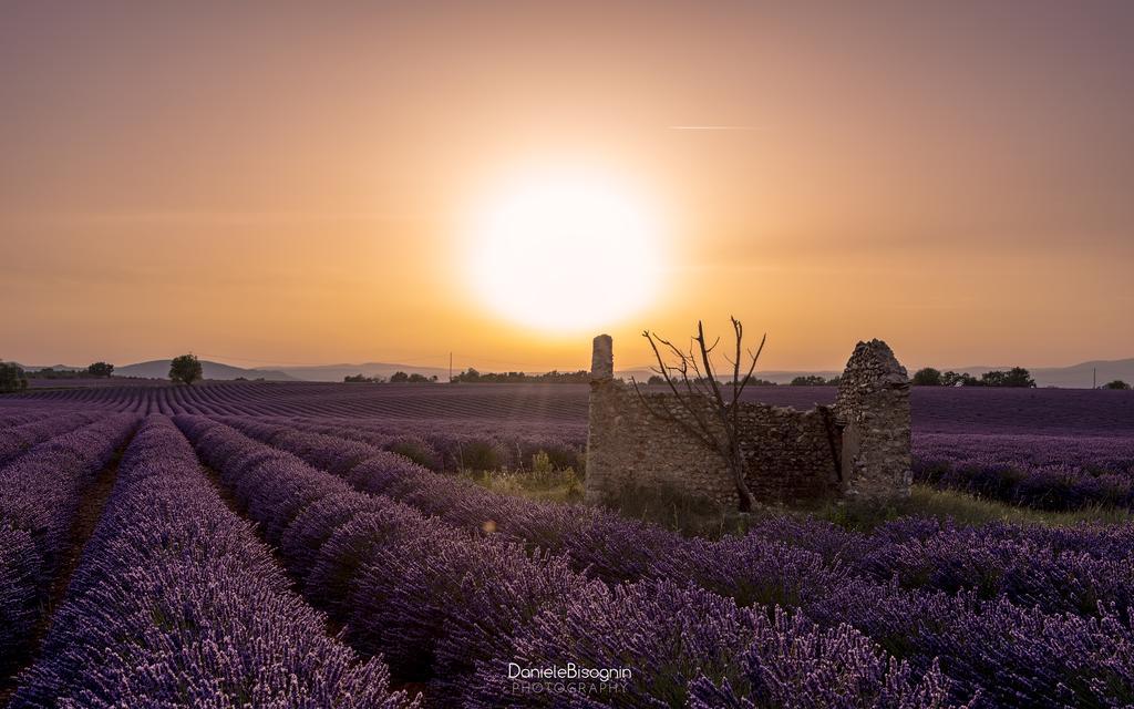 Les Terrasses De Valensole Bed & Breakfast Exterior photo